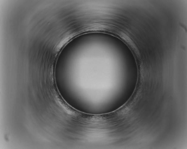 X0000099480842200805231853