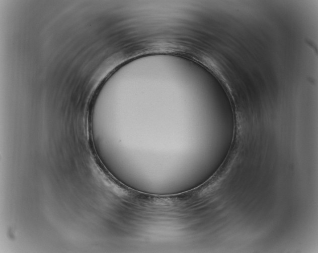 X0000099480843200805231853