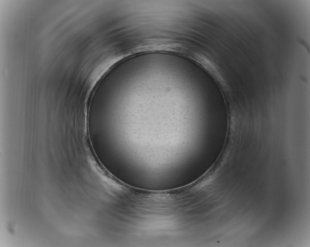 X0000099480844200805231853