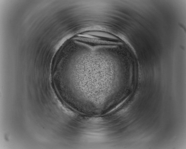 X0000099480845200805231853