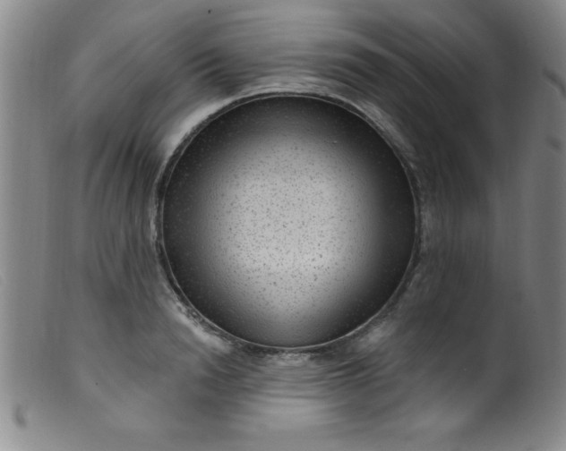X0000099480846200805231853