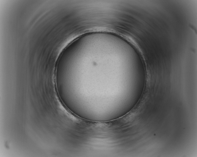 X0000099480847200805231853