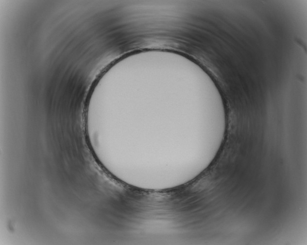 X0000099480848200805231853