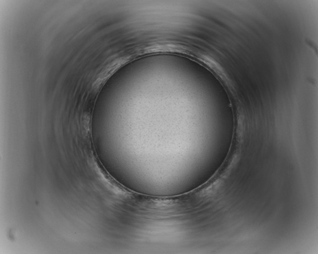 X0000099480849200805231854