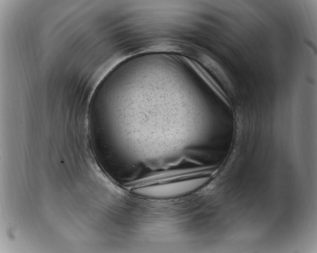 X0000099480852200805231854