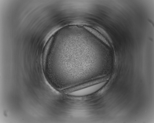 X0000099480855200805231854