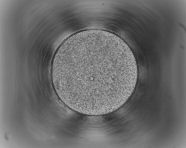 X0000099480856200805231854
