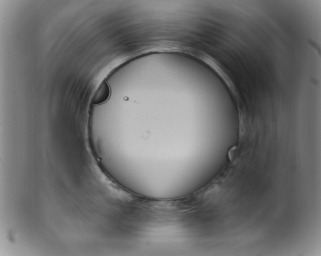 X0000099480861200805231854