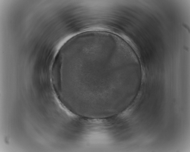 X0000099480862200805231854