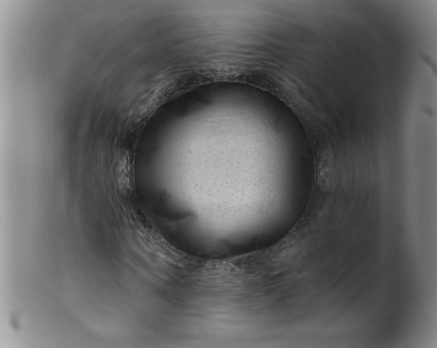 X0000099480866200805231853