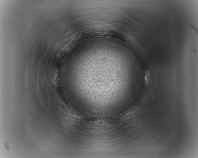 X0000099480867200805231853