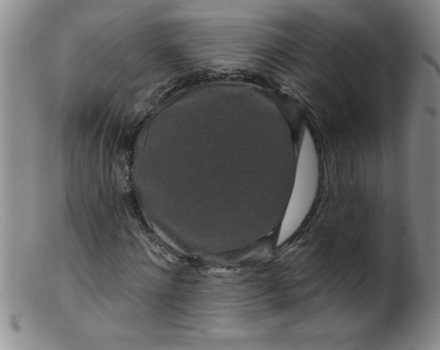 X0000099480868200805231853