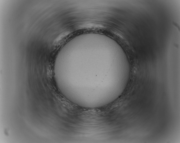 X0000099480869200805231853