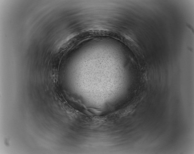 X0000099480870200805231853