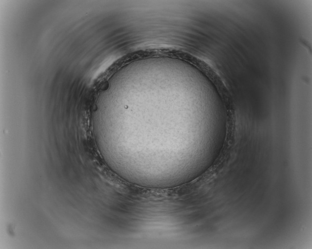 X0000099480871200805231853