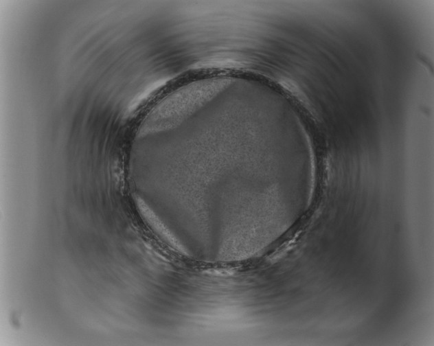X0000099480872200805231853