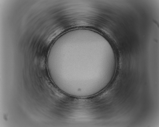 X0000099480873200805231853