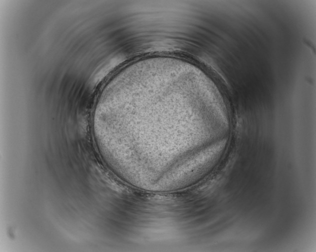 X0000099480874200805231853