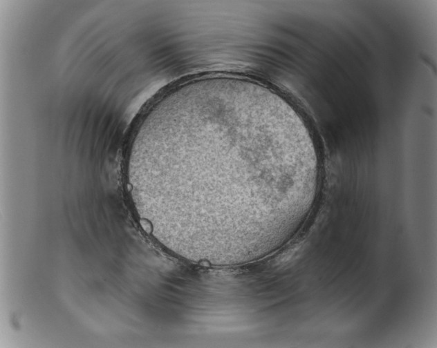 X0000099480875200805231853