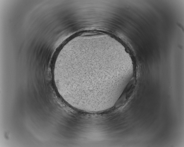 X0000099480876200805231853