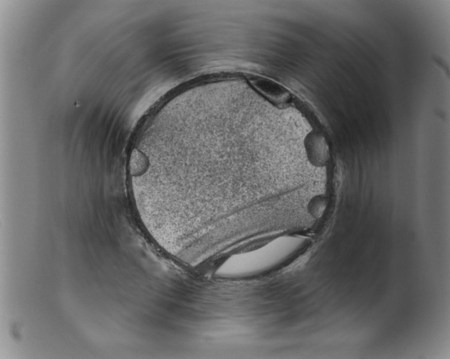 X0000099480877200805231853