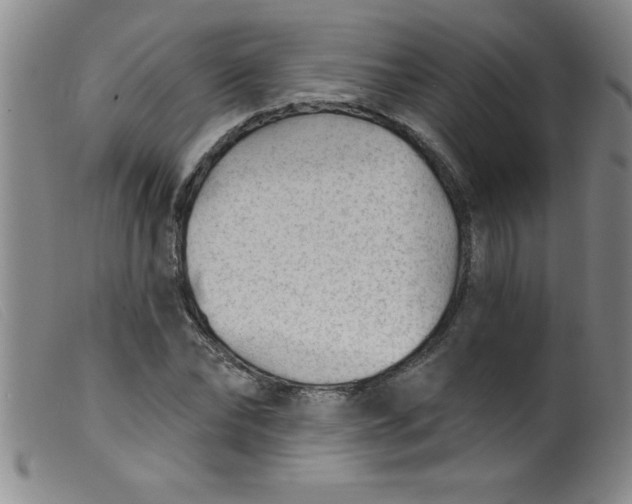 X0000099480878200805231853