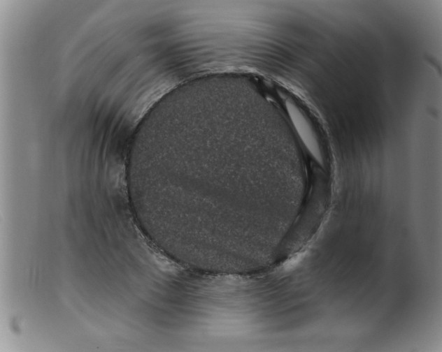 X0000099480881200805231852