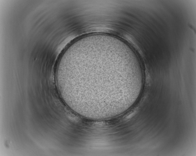 X0000099480883200805231852