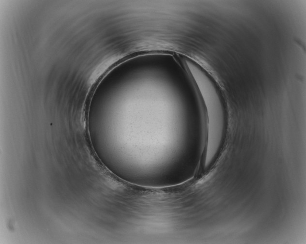 X0000099480885200805231852