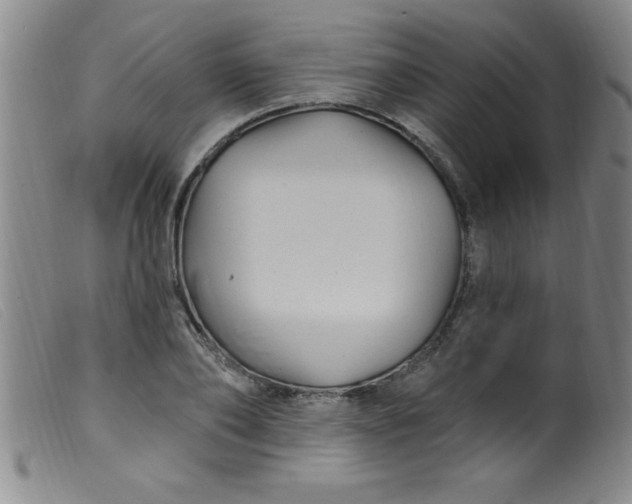 X0000099480886200805231852