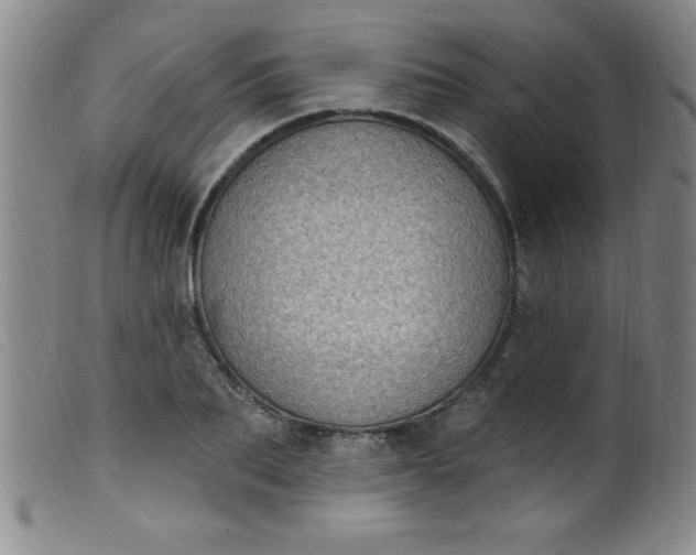 X0000099480887200805231852