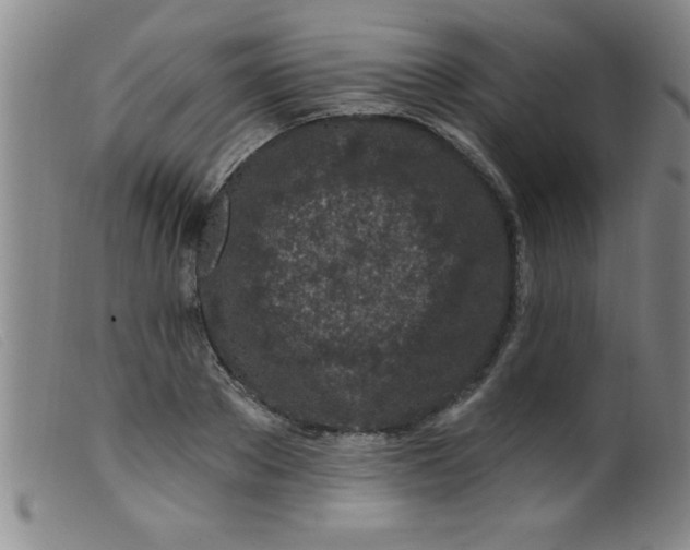 X0000099480889200805231852