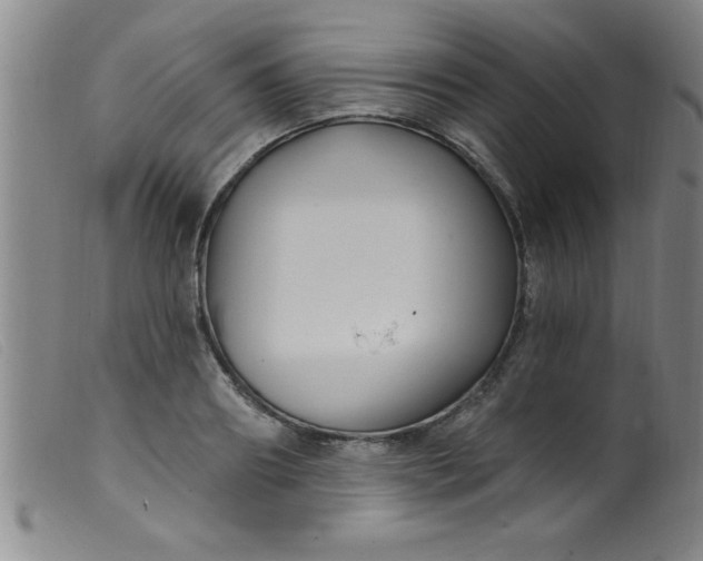 X0000099480890200805231852