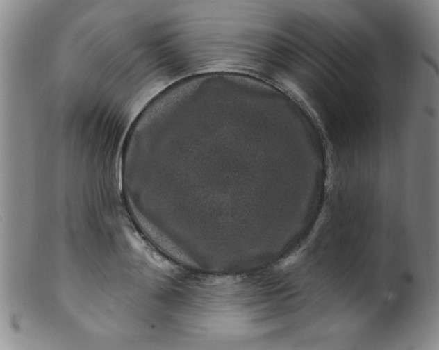 X0000099480892200805231852