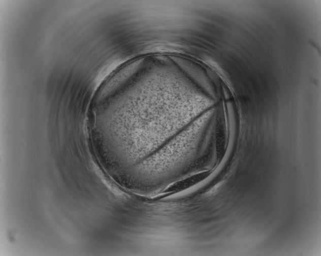 X0000099480893200805231852