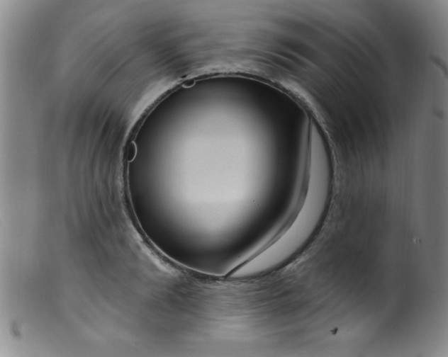 X0000099480894200805231852