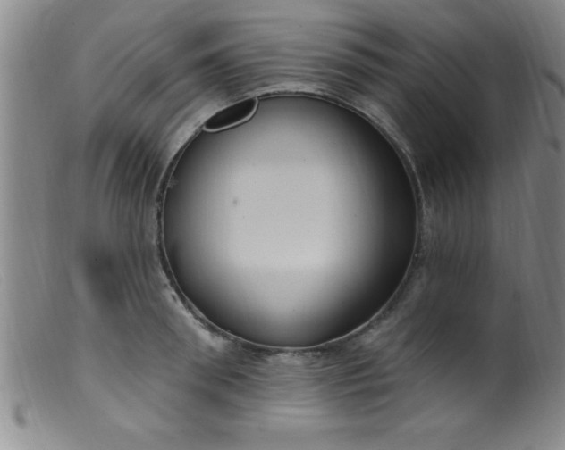 X0000099480898200805231852