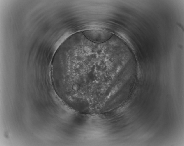 X0000099480899200805231852
