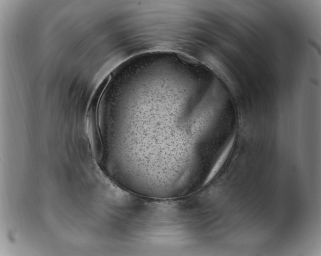 X0000099480900200805231852