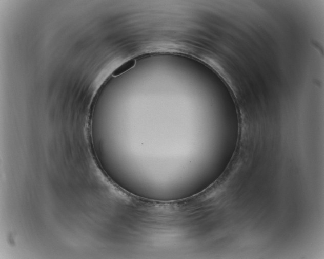 X0000099480901200805231852