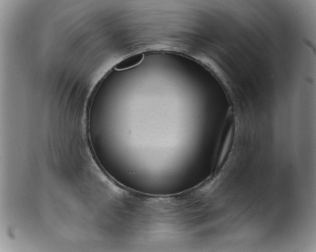 X0000099480902200805231852