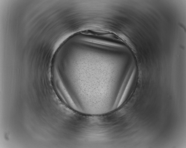X0000099480904200805231852