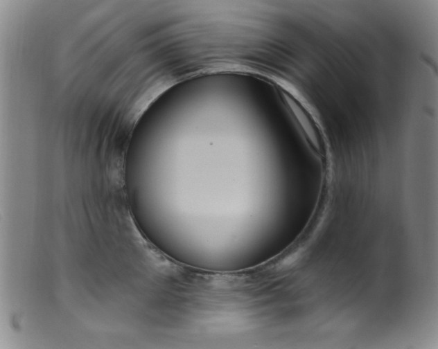 X0000099480905200805231852
