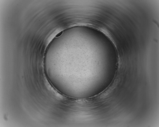 X0000099480906200805231852