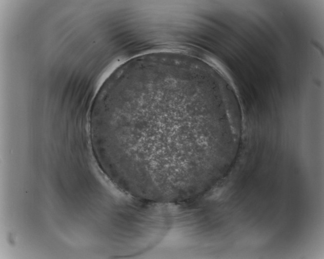 X0000099480907200805231852