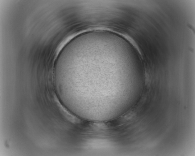 X0000099480911200805231852