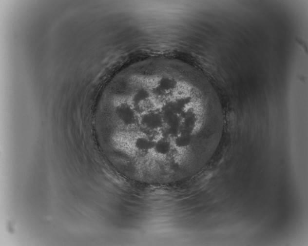 X0000099480913200805231851