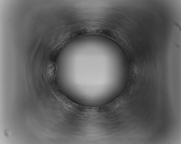 X0000099480914200805231851
