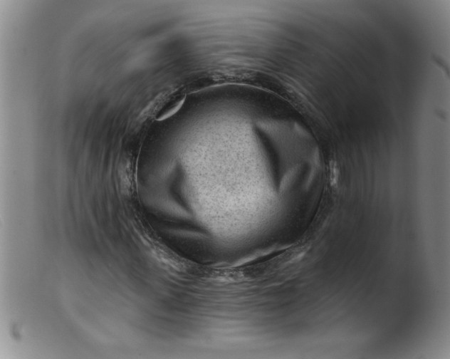 X0000099480915200805231851