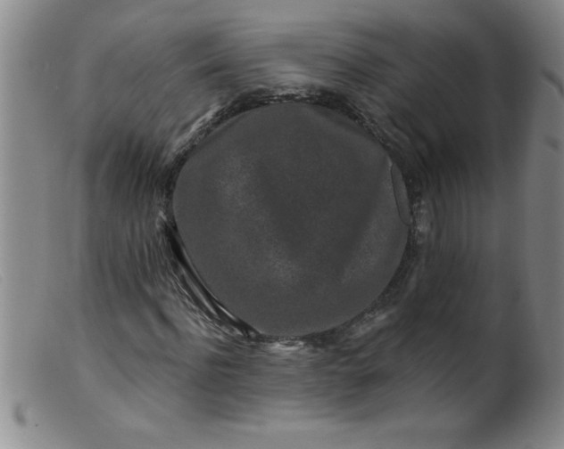 X0000099480916200805231851
